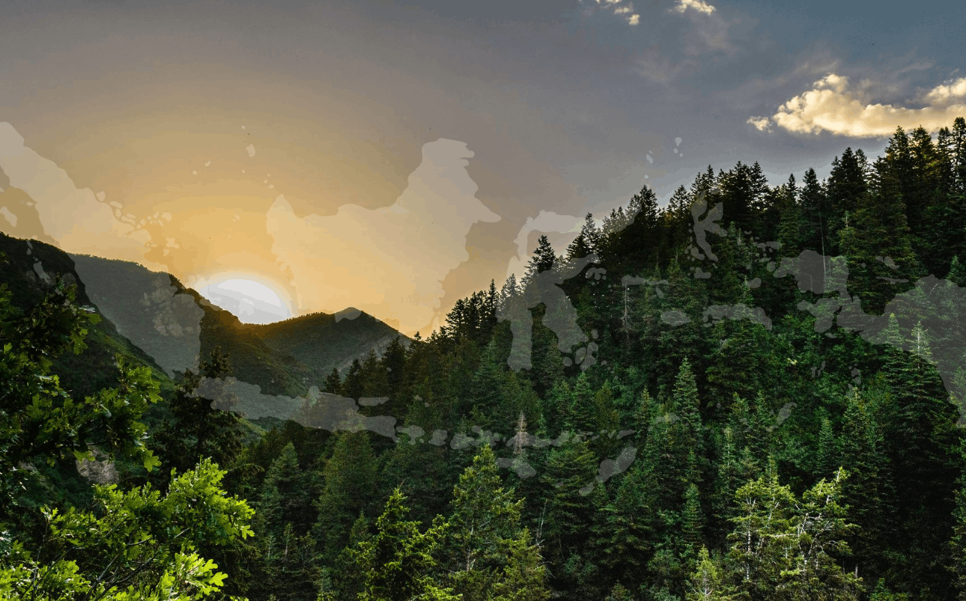 Solusi Pengelolaan Hutan Berkelanjutan – Almas Sinergis Lestari