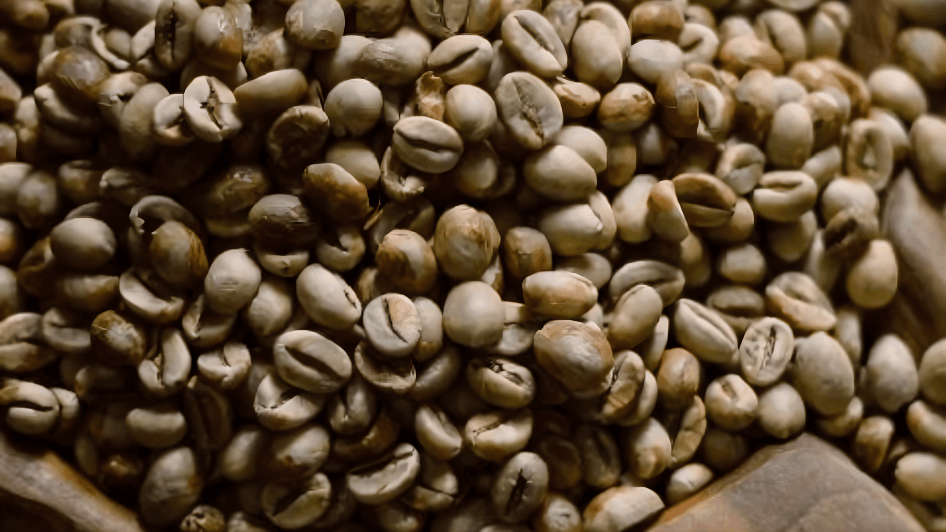 Kopi Robusta Premium Magelang – Robub Lacknut