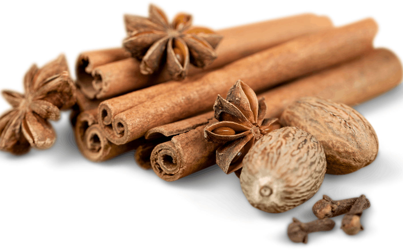 Premium Indonesian Spices – PT Stara Bumi Surya